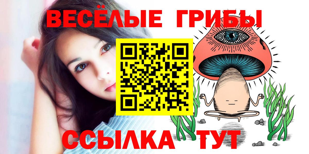Галлюциногенные грибы прущие грибы  Вход с VPN  Алатырь  Псилоцибиновые грибы мухоморы 
